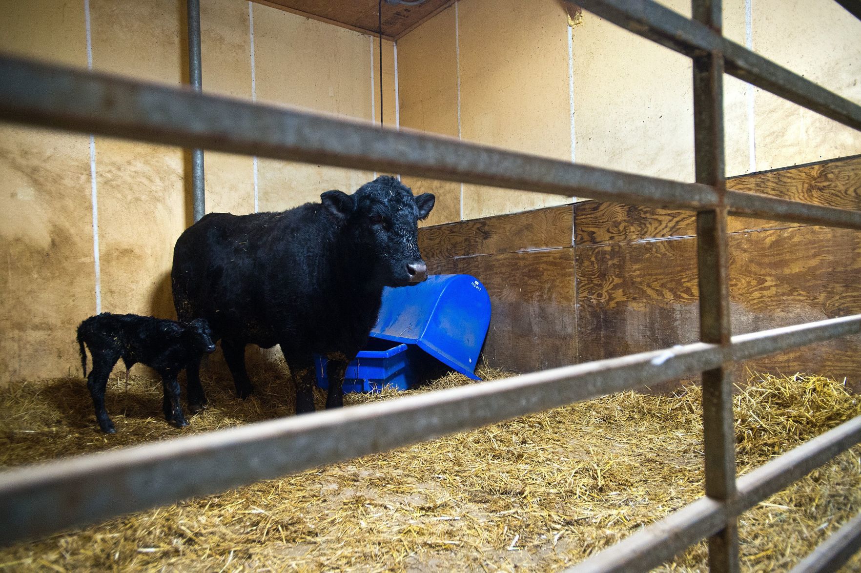 013119-blm-loc-2cold-farm
